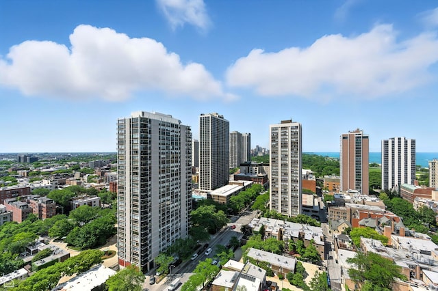 88 W Schiller St Unit 2301, Chicago, IL 60610 - photo 19