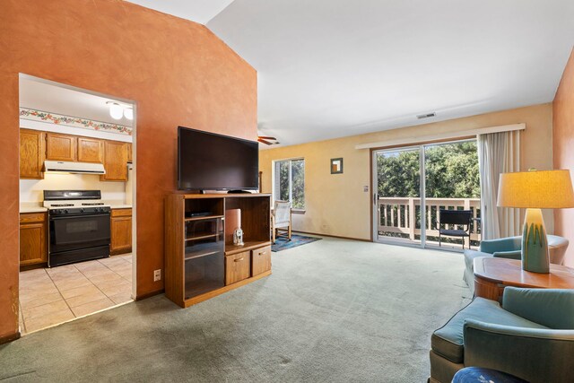 331 Windstream Ct Unit 331, Aurora, IL 60504 - photo 3