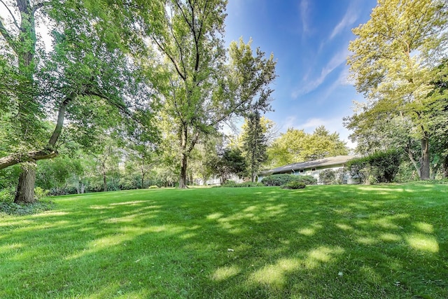 226 Bays Pl, Tower Lakes, IL 60010 - photo 34