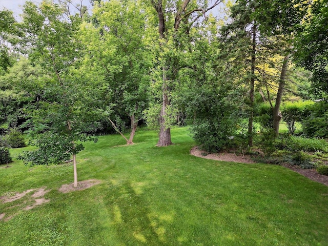 226 Bays Pl, Tower Lakes, IL 60010 - photo 36