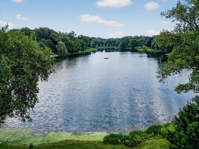 226 Bays Pl, Tower Lakes, IL 60010 - photo 39