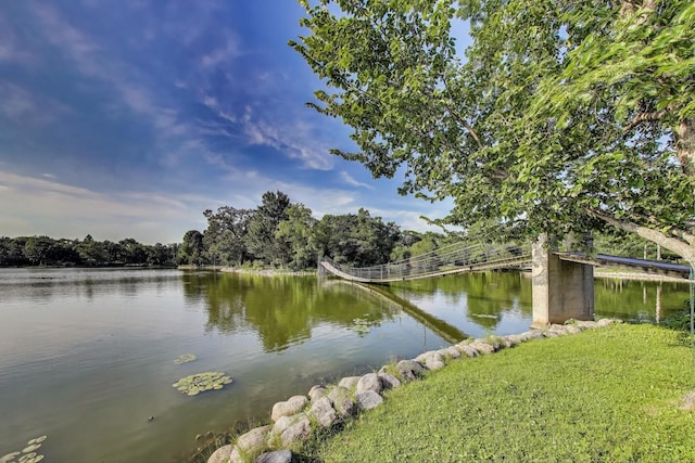 226 Bays Pl, Tower Lakes, IL 60010 - photo 48