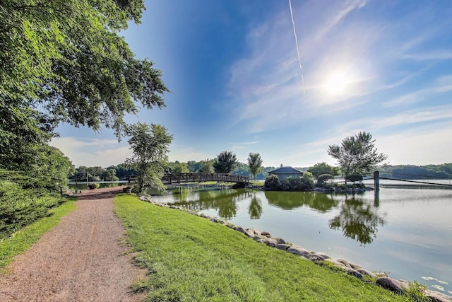 226 Bays Pl, Tower Lakes, IL 60010 - photo 49