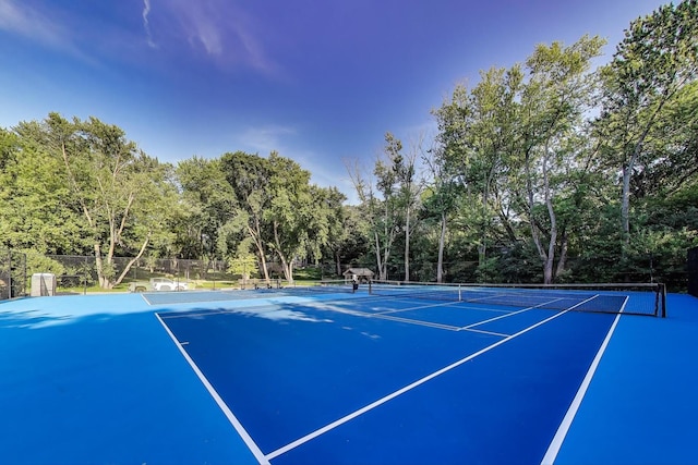 226 Bays Pl, Tower Lakes, IL 60010 - photo 53