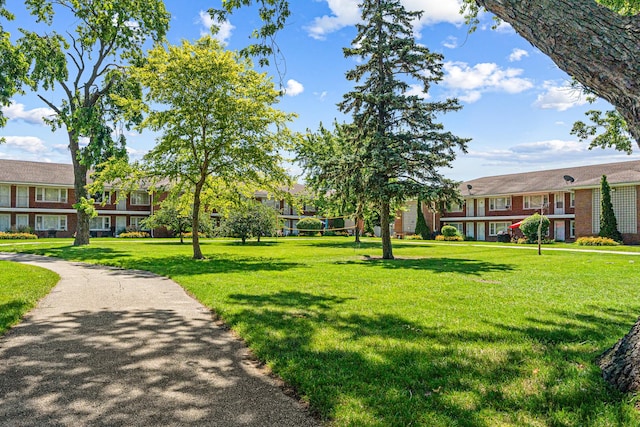 1103 Holiday Ln Unit 13, Des Plaines, IL 60016 - photo 14