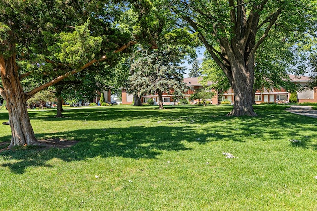 1103 Holiday Ln Unit 13, Des Plaines, IL 60016 - photo 15