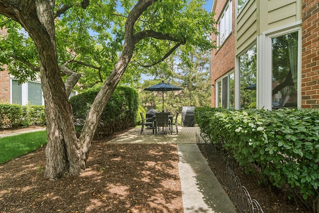 1653 N Belmont Ct, Arlington Heights, IL 60004 - photo 30