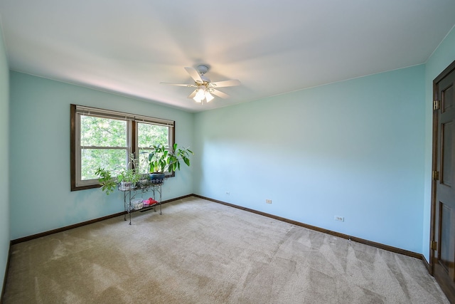 516 Cassin Rd, Naperville, IL 60565 - photo 14