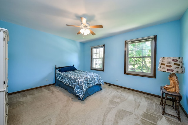 516 Cassin Rd, Naperville, IL 60565 - photo 15