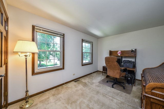 516 Cassin Rd, Naperville, IL 60565 - photo 16