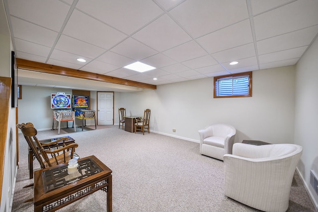 516 Cassin Rd, Naperville, IL 60565 - photo 19