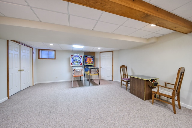 516 Cassin Rd, Naperville, IL 60565 - photo 20