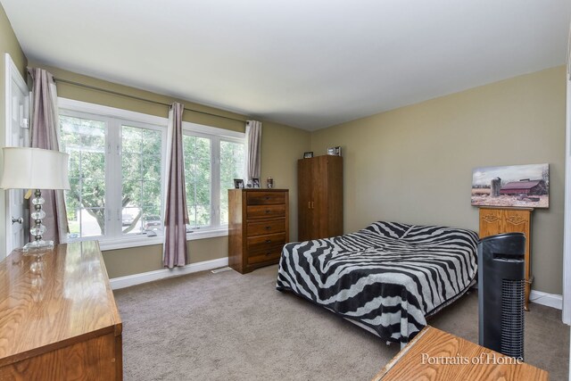 2803 Dorothy Dr, Aurora, IL 60504 - photo 16