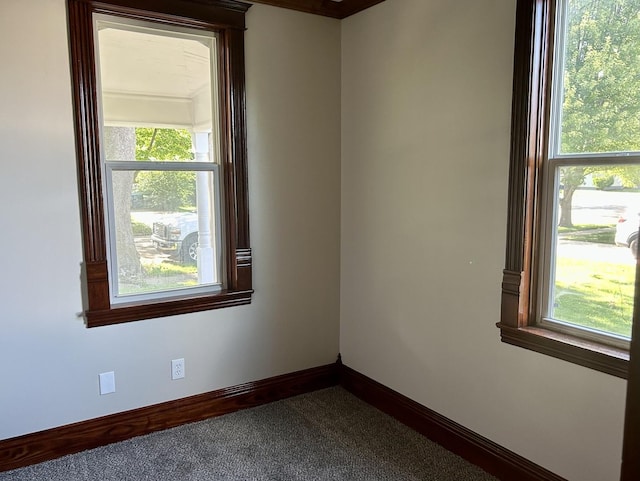109 S Bureau Ave, Ladd, IL 61329 - photo 12