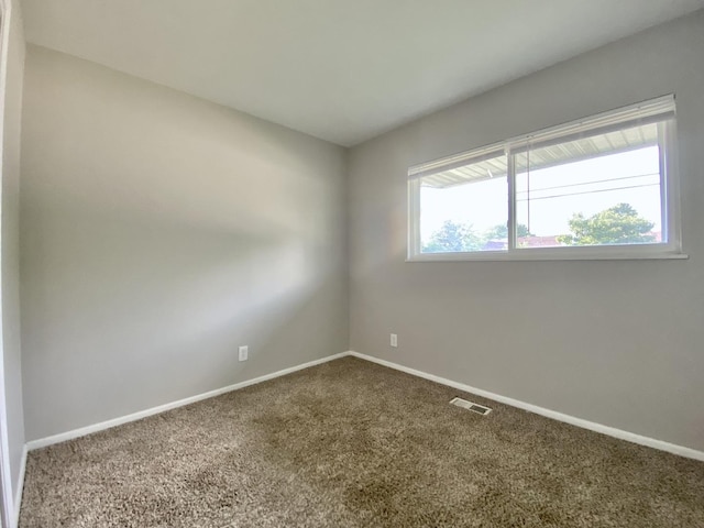 317 E Schaumburg Rd, Streamwood, IL 60107 - photo 10