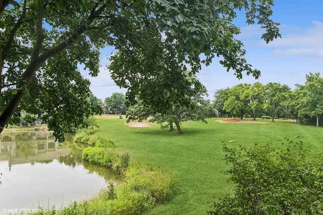 224 Bluff Ct, Lake Barrington, IL 60010 - photo 28