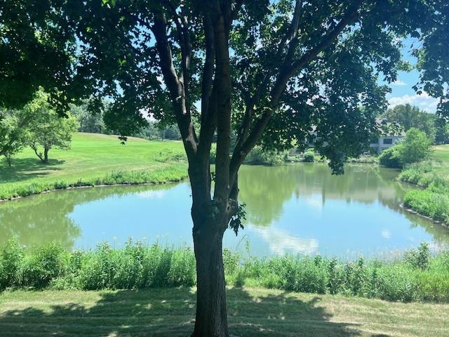 224 Bluff Ct, Lake Barrington, IL 60010 - photo 40