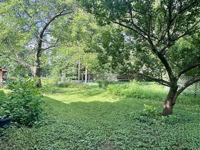 904 S Westlawn Ave, Champaign, IL 61821 - photo 16