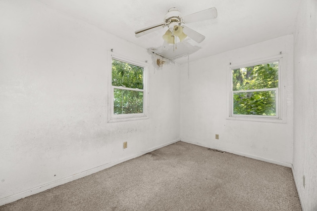 777 Francine Dr, Kankakee, IL 60901 - photo 18