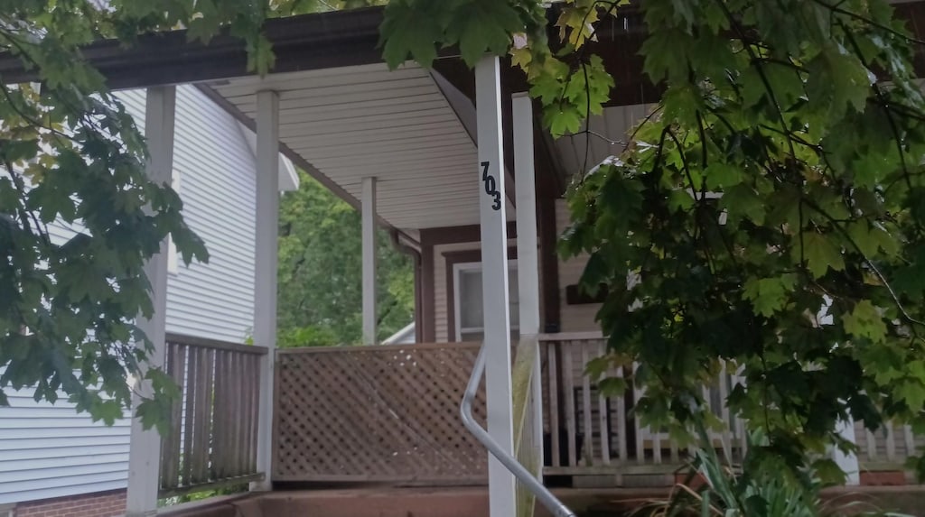 703 S Randolph St, Champaign, IL 61820 - photo 4