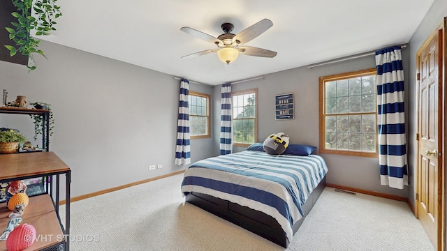900 Holly Ct, Sleepy Hollow, IL 60118 - photo 25