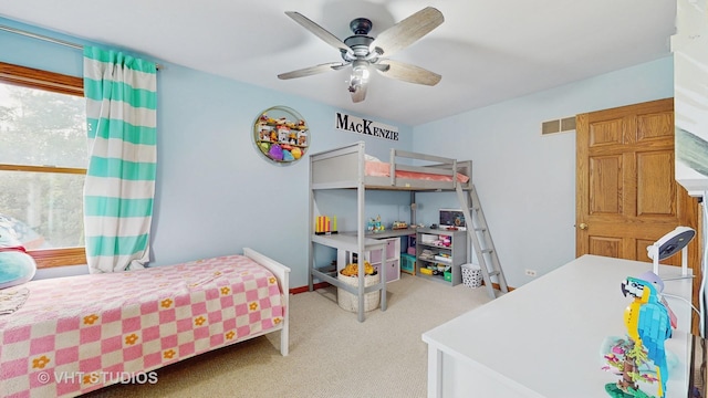 900 Holly Ct, Sleepy Hollow, IL 60118 - photo 28