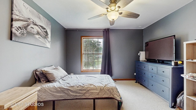 900 Holly Ct, Sleepy Hollow, IL 60118 - photo 30