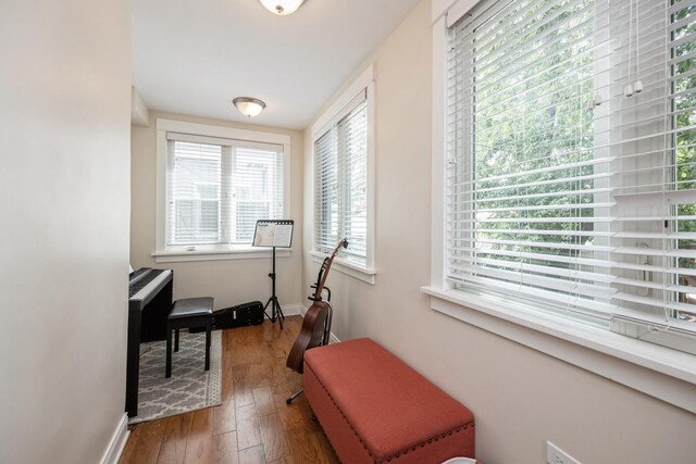1103 Lyman Ave, Oak Park, IL 60304 - photo 9