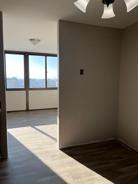 4850 S Lake Park Ave Unit 1707, Chicago, IL 60615 - photo 15
