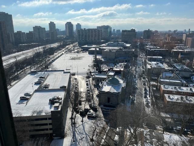 4850 S Lake Park Ave Unit 1707, Chicago, IL 60615 - photo 5
