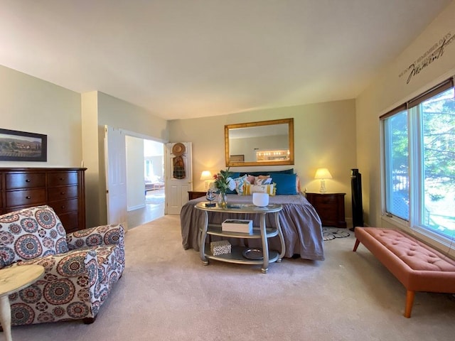 1681 Harris Dr, Aurora, IL 60502 - photo 19