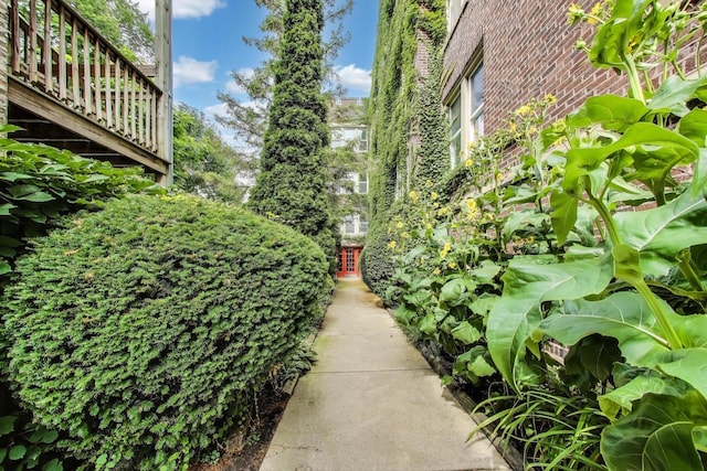 5948 N Paulina St Unit 1, Chicago, IL 60660 - photo 4