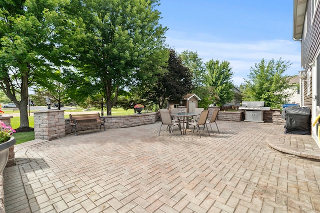 1567 Marigold Ln, Minooka, IL 60447 - photo 29