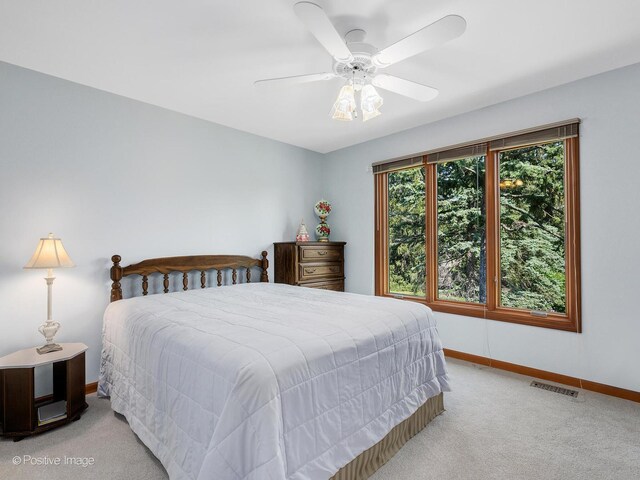 27W220 Jewell Rd, Winfield, IL 60190 - photo 21