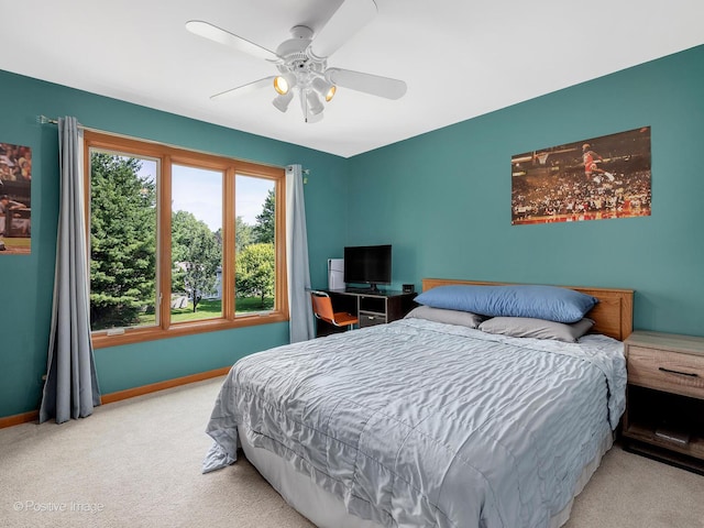 27W220 Jewell Rd, Winfield, IL 60190 - photo 24