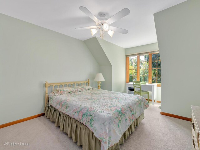 27W220 Jewell Rd, Winfield, IL 60190 - photo 25
