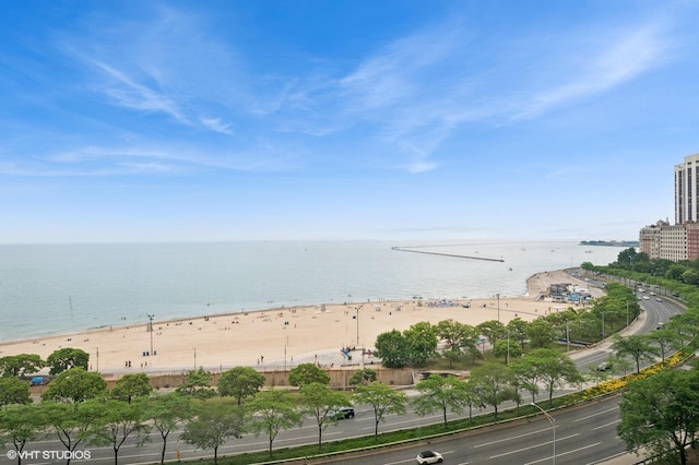 1100 N Lake Shore Dr Unit 11B, Chicago, IL 60611 - photo 3