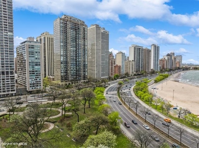 1100 N Lake Shore Dr Unit 11B, Chicago, IL 60611 - photo 26
