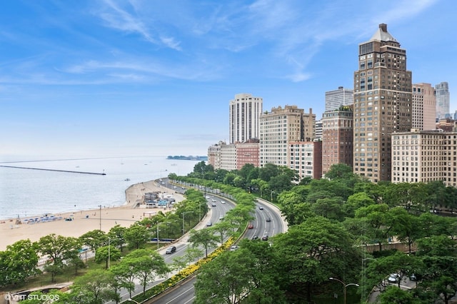 1100 N Lake Shore Dr Unit 11B, Chicago, IL 60611 - photo 4