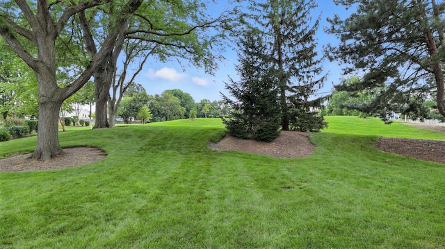 385 Newport Ln Unit D1, Bartlett, IL 60103 - photo 21