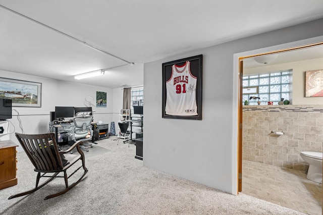 13059 S Buffalo Ave, Chicago, IL 60633 - photo 25