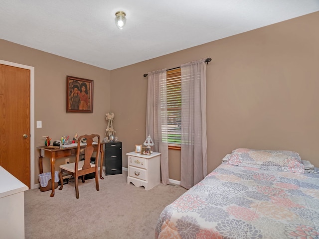 330 E Janet Dr, Braidwood, IL 60408 - photo 15