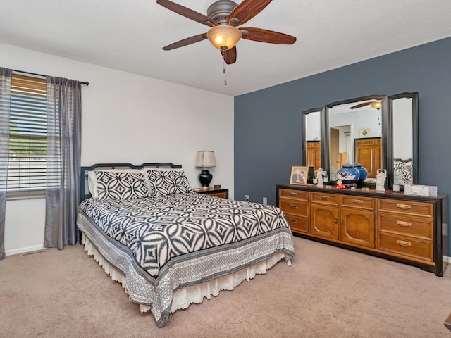 330 E Janet Dr, Braidwood, IL 60408 - photo 17