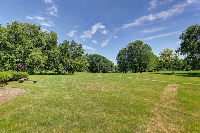 1609 Clover Dr, Inverness, IL 60067 - photo 7
