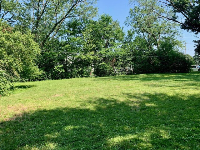 1068 N Coolidge Ave, Palatine, IL 60067 - photo 4