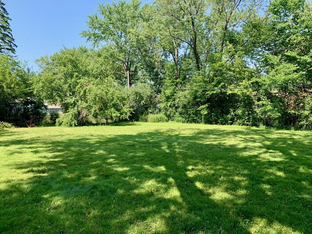 1068 N Coolidge Ave, Palatine, IL 60067 - photo 9