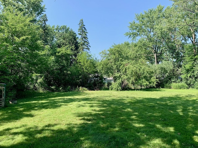 1068 N Coolidge Ave, Palatine, IL 60067 - photo 10
