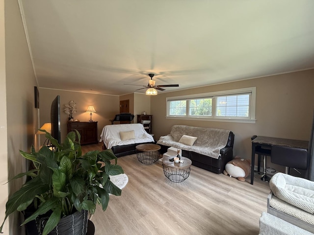 1805 Brophy Ave, Park Ridge, IL 60068 - photo 5
