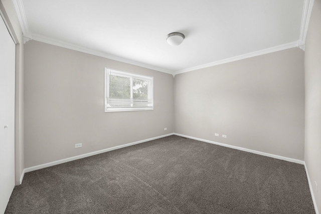 15100 Kostner Ave, Midlothian, IL 60445 - photo 12
