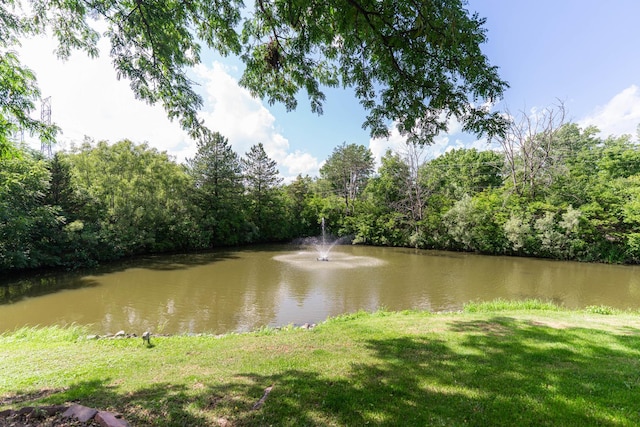 5727 Hampton Dr, Long Grove, IL 60047 - photo 74